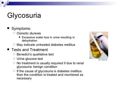 Endocrine system