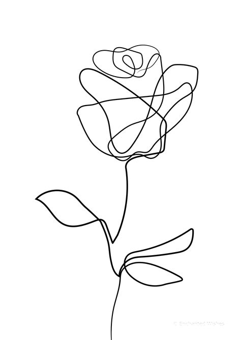 Rose Print Rose Line Art Line Drawing One Line Rose Floral | Etsy UK