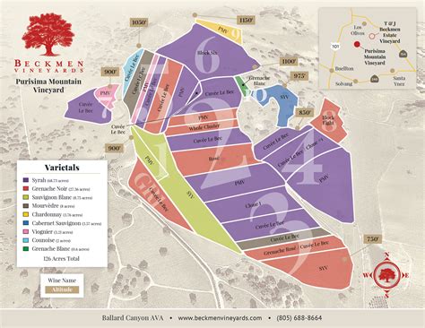 Beckmen Vineyards | Updated Vineyard Maps