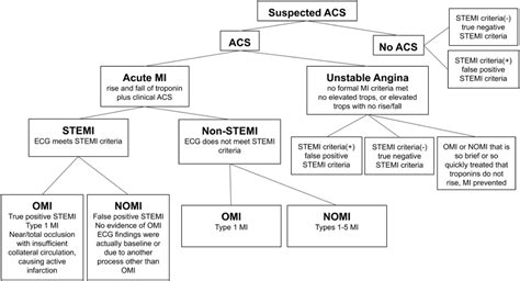 Comparison of the ST-Elevation Myocardial Infarction (STEMI) vs. NSTEMI ...