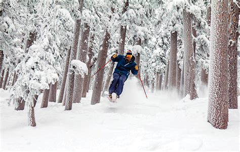 Cold-Weather Escapes: A Travel Guide to Santa Fe, New Mexico