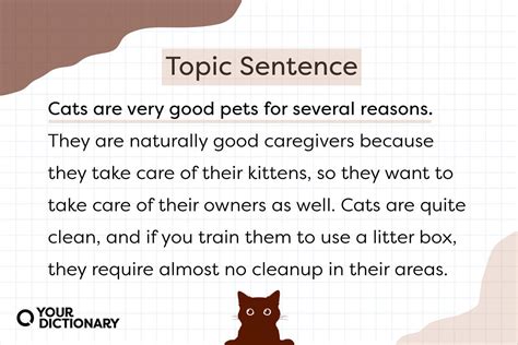 Examples of Topic Sentences That Make the Purpose Clear | YourDictionary