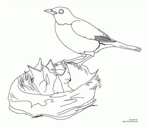 Wisconsinstate Bird Coloring Page - Coloring Home