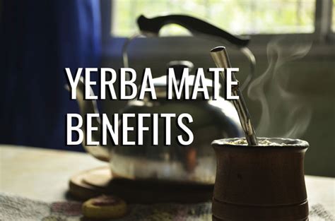 The Most Important Health Benefits Of Yerba Mate - Yerba Mate Society