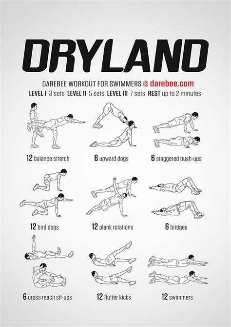 Dryland Workout | Dryland workout, Workouts for swimmers, Swimming drills