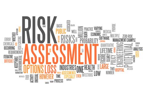 Risk Assessment Logo