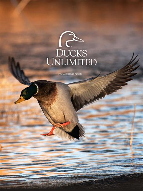 Ducks Unlimited Camo Wallpapers - Wallpaper Cave