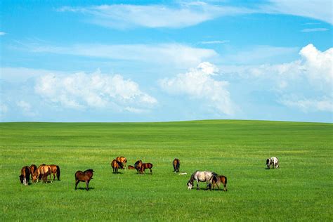 Inner Mongolia Grasslands: Top 10 Prairies in Inner Mongolia