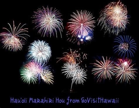 Any One 1-6: Happy New Year Wishes in Hawaiian 2014