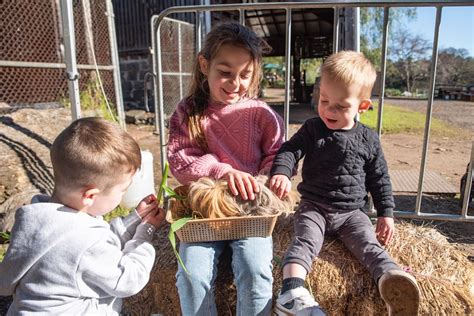 Collingwood Children’s Farm, Collingwood - Mum's Little Explorers