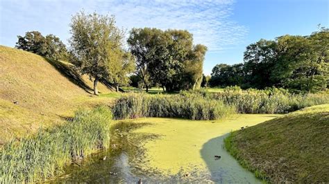 Premium Photo | Photo of nature in belarus