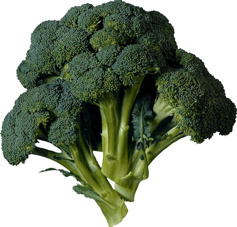 Broccoli PNG