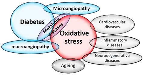 Diseases | Free Full-Text | The Protective Effect of Antioxidants ...