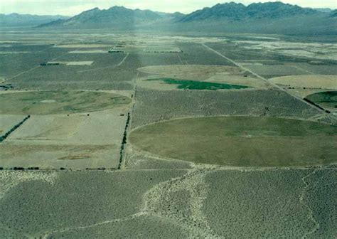 Agriculture in Amargosa Valley