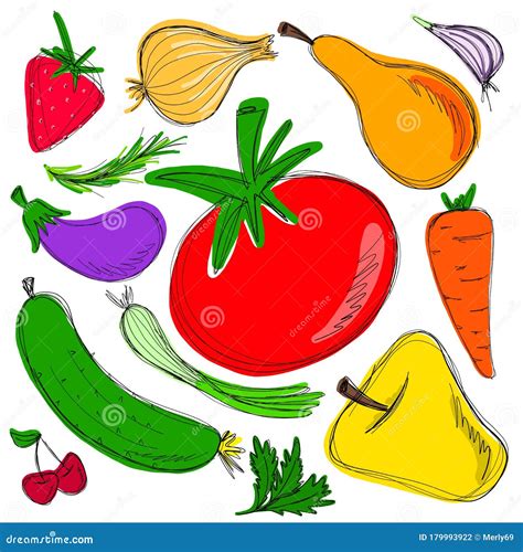 Vegetables Drawing Pictures