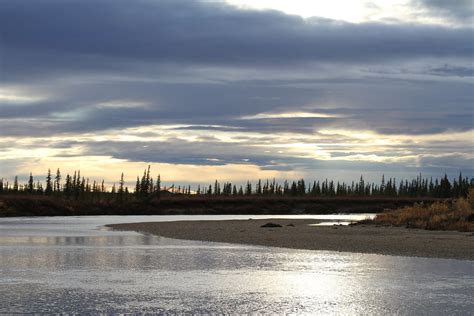 Selawik River, Alaska | The Selawik River (home to sheefish,… | Flickr