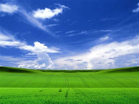 Free Microsoft Desktop Backgrounds - Wallpaper Cave