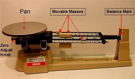 Triple Beam Balance Labeled Parts