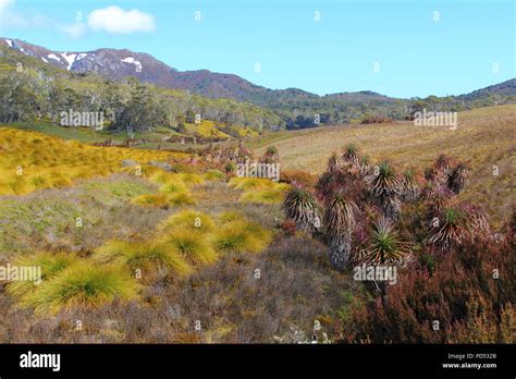 Cradle Mountain Hiking Stock Photo - Alamy