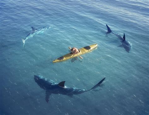 A Man In A Boat, Kayak. Was Trapped In The Middle Of The Ocean Surrounded By Sharks. Stock Image ...