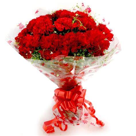 Red Carnation Bouquet