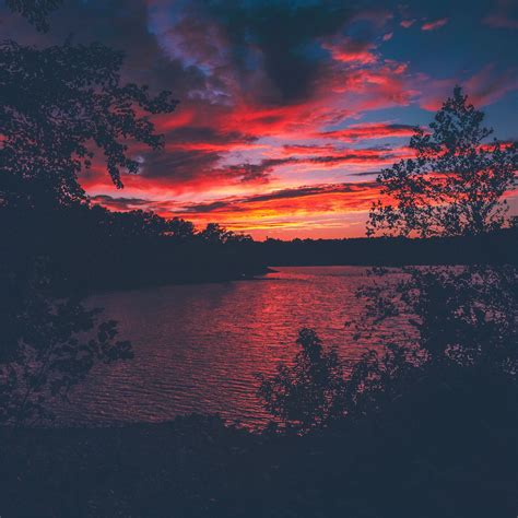 red evening sunset lake view from forest woods iPad Pro Wallpapers Free Download