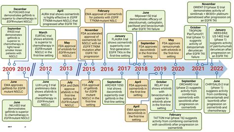 Cancers | Free Full-Text | Treatment Strategies for Non-Small Cell Lung Cancer with Common EGFR ...