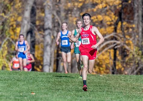 Cross-Country: Elliot Gindi is NJ.com's Runner of the Year for 2016 ...