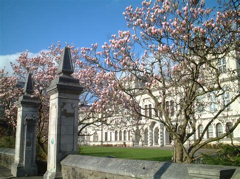 File:Cardiff University.JPG - Wikipedia