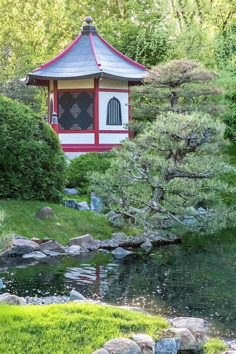 Japanese Garden #6 - Pagoda Vertical Photograph by Patti Deters