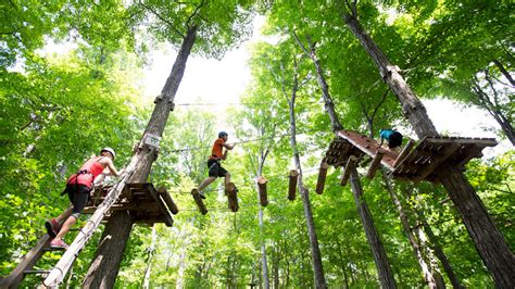 Treetop Trekking at Horseshoe Resort, Barrie Ontario