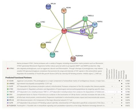 Human HTRA1 interactions network with other genes obtained from String... | Download Scientific ...