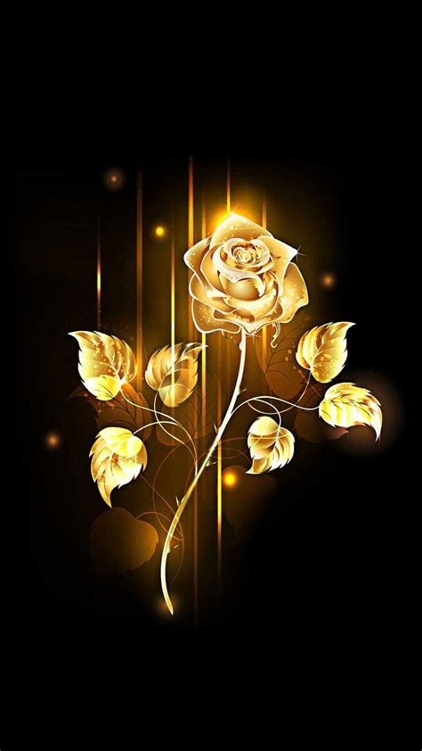 Golden Rose Wallpapers - Top Free Golden Rose Backgrounds - WallpaperAccess