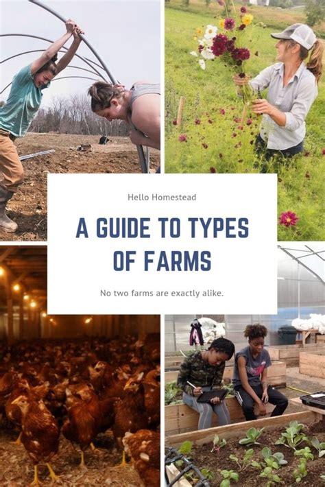 A guide to types of farms | Hello Homestead