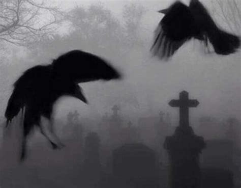 Gothic in 2024 | Crow images, Beautiful dark art, Gothic aesthetic