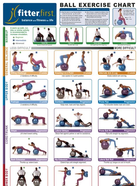 Ball Exercise Chart | Weight Training | Flexibility (Anatomy)