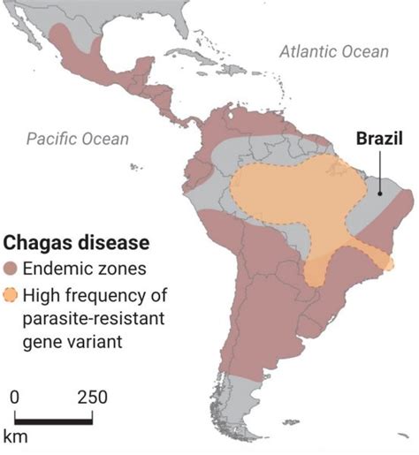 Amazon Peoples Resist 'Kissing-Bug Disease' » Explorersweb