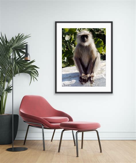 Baby Monkey Print Nursery Wall Art Cute Monkey Photo Indian - Etsy