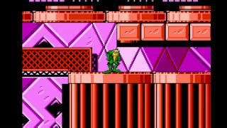 Battletoads And Double Dragon Cheats, Cheat Codes, Hints and Walkthroughs for NES