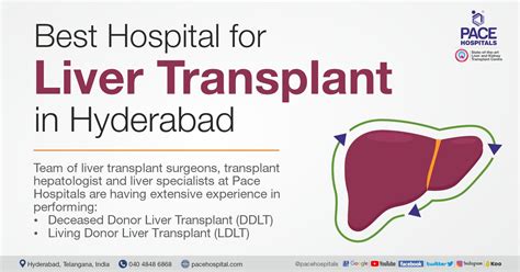 Best Hospital for Liver Transplant in Hyderabad | Cost & Success Rate