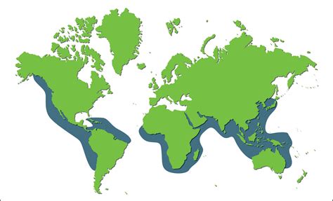 Green Sea Turtle Distribution Map