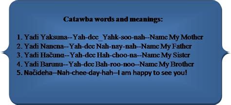 Catawba Nation Project: Catawba Indian Nation offers its members a lifetime of education