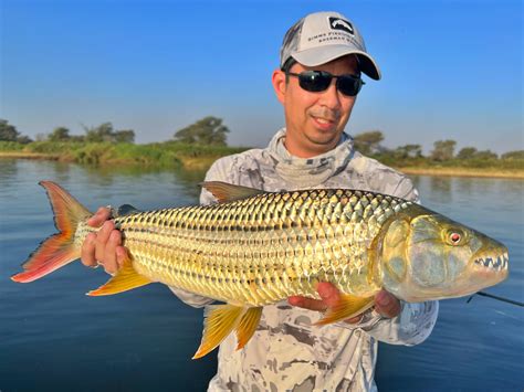 How To Catch African Tigerfish