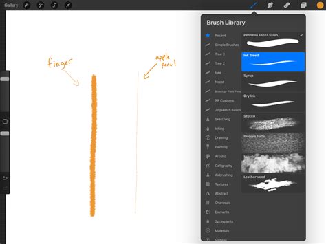 New to Procreate, Apple pencil problem : r/ProCreate