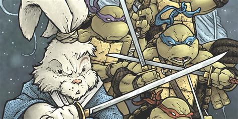 TMNT & Usagi Yojimbo to Reunite in Summer One-Shot | CBR