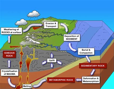 rock cycle - The Gem Museum