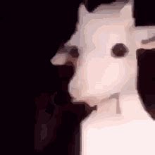 Old Goat GIFs | Tenor