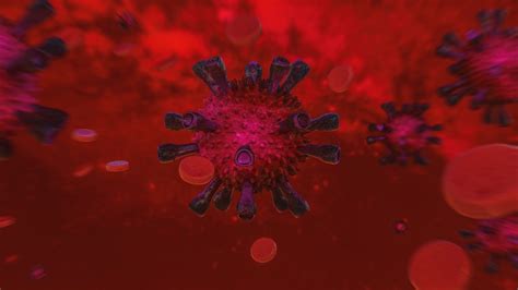 Download Artistic Virus 4k Ultra HD Wallpaper by JasminZejnic