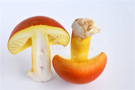 Edible Amanita Caesarea or Caesar S Mushroom 3 Stock Image - Image of fungi, caesars: 31619105