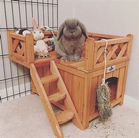 Our Best Selling Pet Rabbit Fort! 😍 Exclusively at Bunny Supply Co 🐰🐾 | Pet bunny rabbits, Pet ...